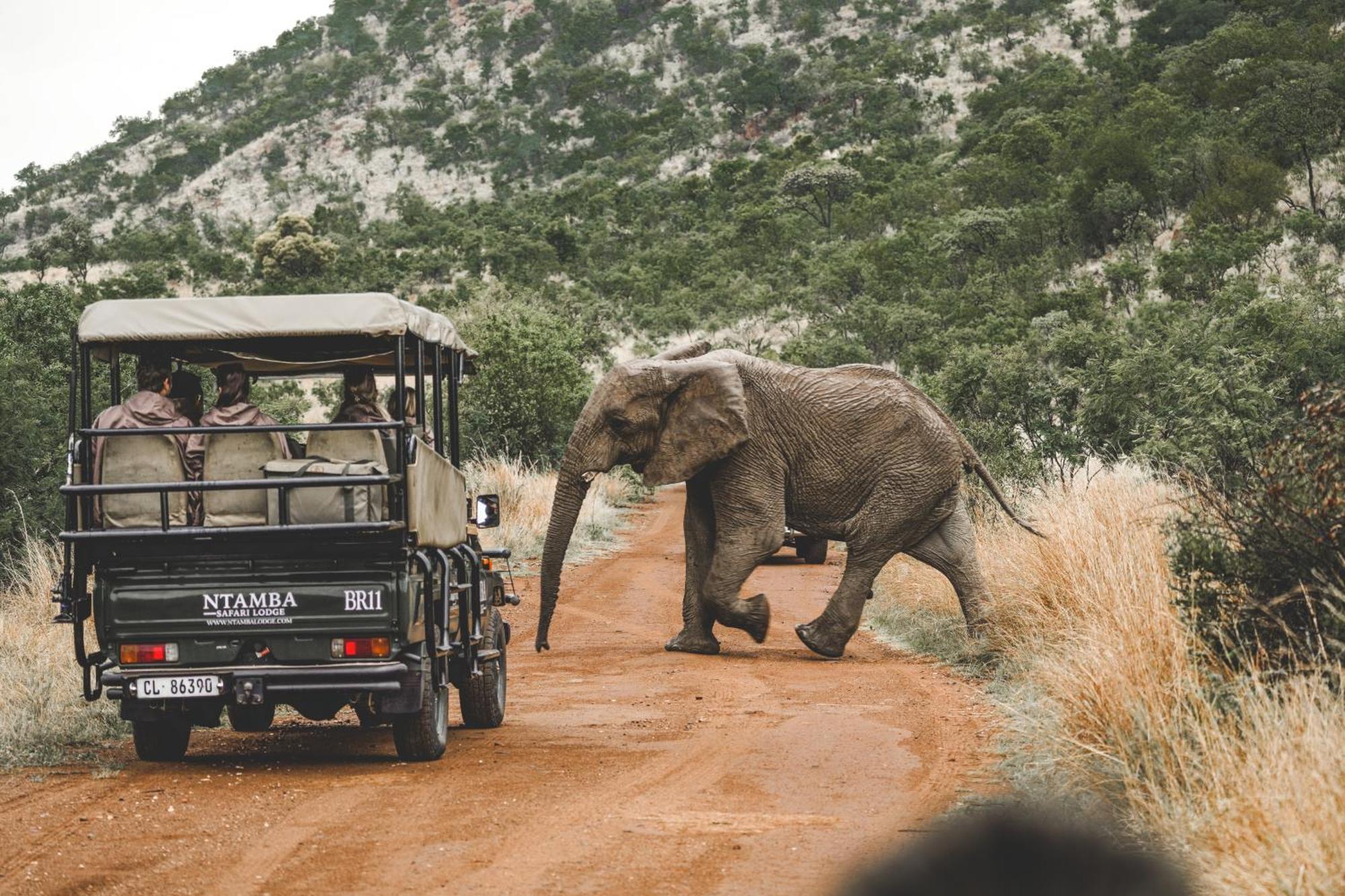 Ntamba Safari Lodge Matlhagame Bagian luar foto